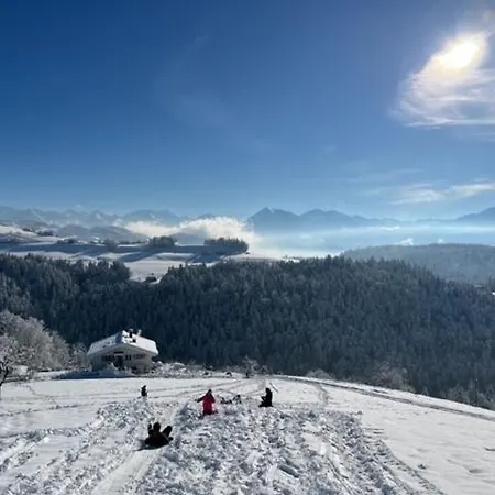 Swiss Alps דירה *