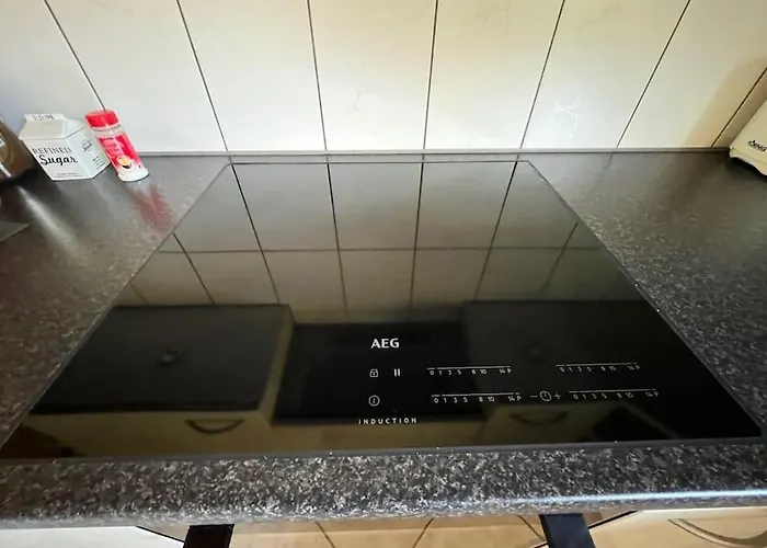 Swiss Alps דירה *