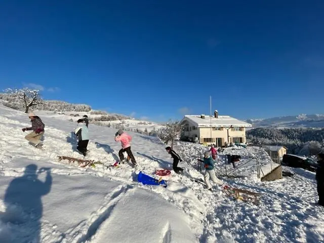 Swiss Alps דירה Brenzikofen