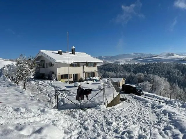 Swiss Alps דירה *