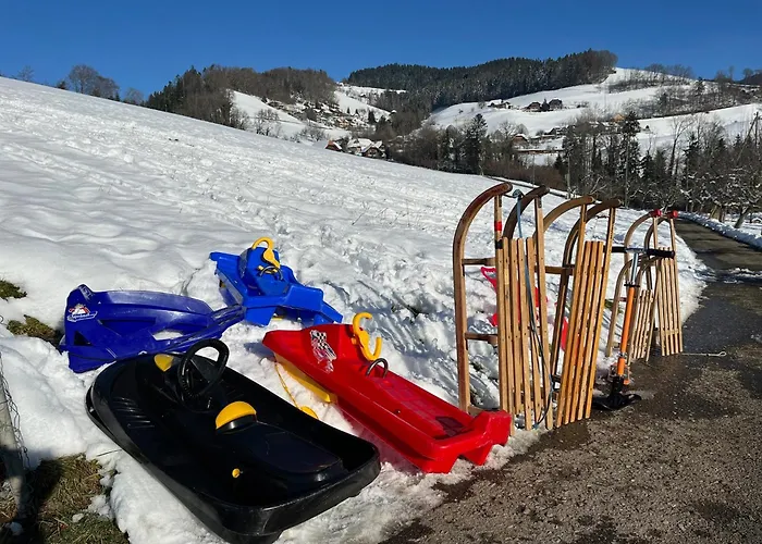 Swiss Alps דירה Brenzikofen