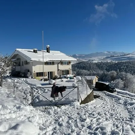 Swiss Alps شقة *