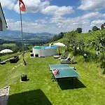 Swiss Alps Lejlighed