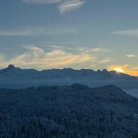 Swiss Alps